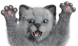 nyaro2.png